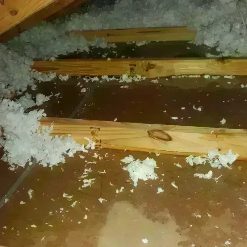 Attic Water Damage in Hooksett, NH